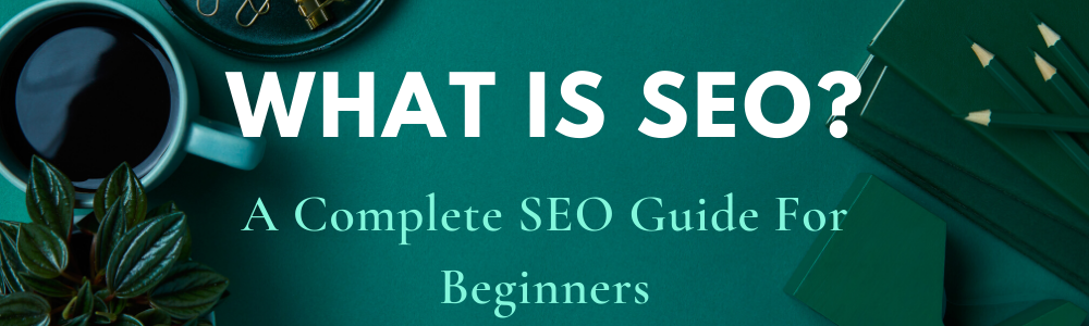 What is SEO? A Complete SEO Guide For Beginners